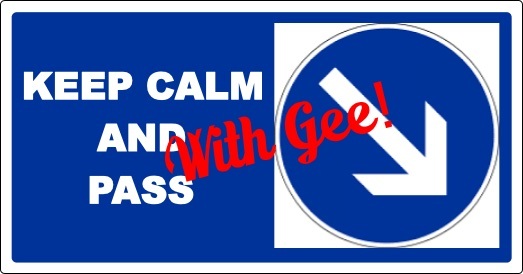 Pass with Gee